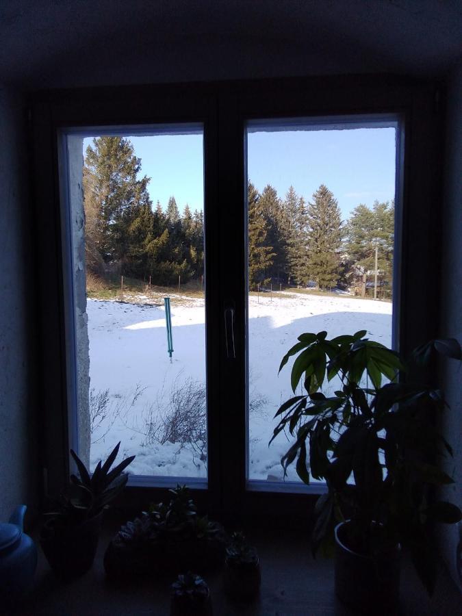 Monteur-Ferienwohnung Ot Naundorf Naundorf  Kültér fotó